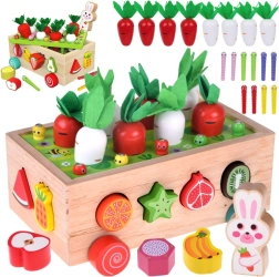 Hölzercher Montessori-Gartenwagen mit Karottenernte, Formen und magnetischen Würmchen