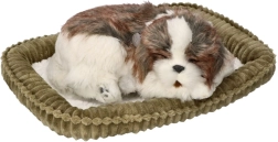 Adoptiere mich – atmendes Shih-Tzu-Welpen