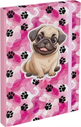 Ordner für Schulhefte Paw Patrol A4