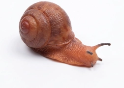 Gummischnecke 13 cm