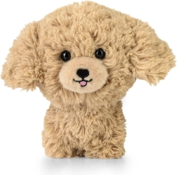 Plüschtier TEDDY PETS – Goldpudel