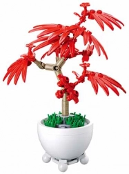 Sluban tropische Pflanze im Blumentopf – roter Bonsai-Ahorn