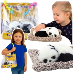 Schlafende Panda auf Kissen mit weichem Fellimitat in transparenter Tasche