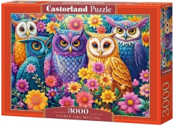 Castorland Puzzle Eulenbegegnung in Blumen 3000 Teile