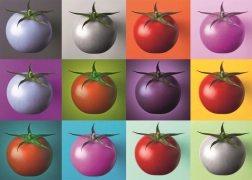 Puzzle Pop Art Tomaten 1000 Teile