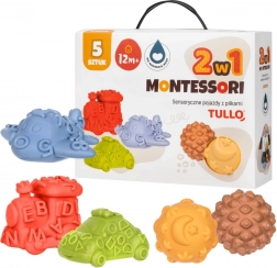 Sinnesfahrzeuge mit Bällen 2-in-1 Tullo