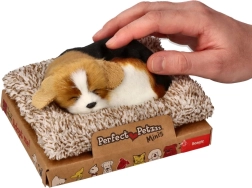 Bellender Beagle auf dem Körbchen