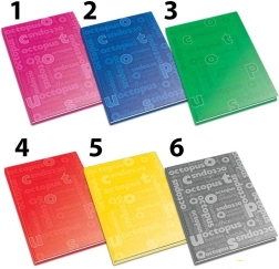 Protokollbuch Office A4, 80 Blatt, liniert (Farbmix)