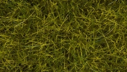 Noch statisches Gras wilde Wiese 12 mm