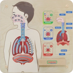 Holztafel Atmung von Masterkidz