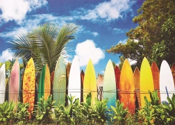 Puzzle Surfer-Paradies 1000 Teile EUROGRAPHICS