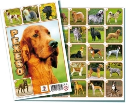 Pexeso Hunde Gesellschaftsspiel