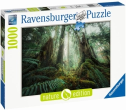 Puzzle 1000 Teile Wälder Ravensburger