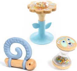 DJECO Geschenkset mit Rasseln und Beißringen für Babys