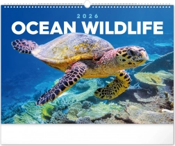 Wandkalender Unterwasserwelt 2026