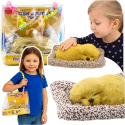 Schlafender Labrador auf Kissen mit weichem Fell und Geräuschen