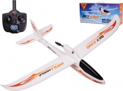 WLtoys Sky King F959S 2,4GHz RC Flugzeug