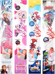 Drache Ready2Fly – Kinder-Flugdrachen