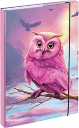 Heftmappen A4 mit Eulenmotiv BAAGL