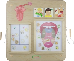 Masterkidz Bildungstafel Sinn des Geschmacks Montessori