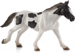 Mojo Irisches Tinker Fohlen