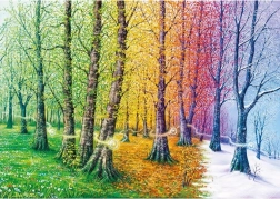 Puzzle Fasern des Lebens 1000 Teile MAGNOLIA