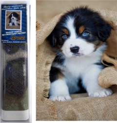 Diamantmalerei Berner Sennenhund-Welpe 30 × 40 cm