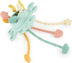 Silikon-Spielzeug für motorische Aktivitäten Eukalyptus