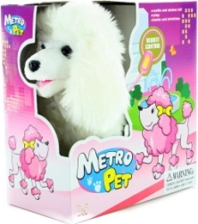 Gassi gehender Hund an Kabel mit wedelndem Schwanz