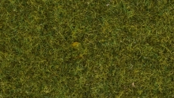 Statische Graswiese 4 mm
