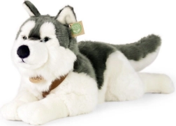 Plüschhund Husky 60 cm UMWELTFREUNDLICH