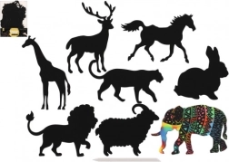 Kratzbilder von Tieren - Regenbogen 8 Stk.