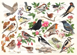 Puzzle Vögel im Garten - 1000 Teile