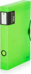 A4 Maxi Archivbox mit Gummiband Opaline Frosty grün