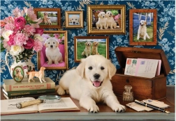 Puzzle Labrador 500 Teile