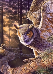 Puzzle Der Abendjäger 1000 Teile