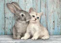 Puzzle 500 Teile Compact Katze und Kaninchen