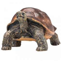 Mojo Figur – Riesenschildkröte – realistische Tierfigur