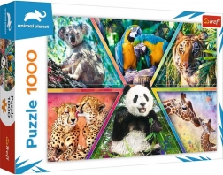 Puzzle mit 1000 Teilen – Tierreich ANIMAL PLANET