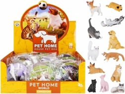 Lern-Tiere – Hunde und Katzen mit Kärtchen und Artbezeichnung