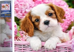 Diamantmalerei Welpe im rosa Körbchen 30 × 40 cm