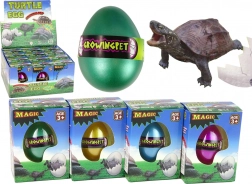 Magisches Ei mit wachsender Schildkröte 6 cm