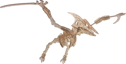 Woodcraft Holz-3D-Puzzle Pterosaurus