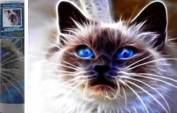 Diamantmalerei Katzenmagie 30 × 40 cm