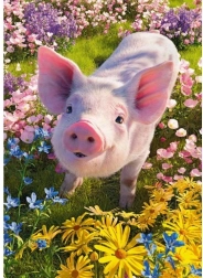 Cherry Pazzi Puzzle Magst du mich? 500 Teile