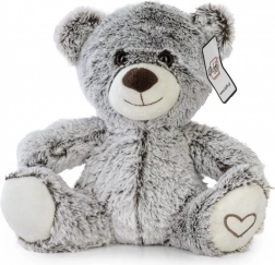 Plüsch-Teddybär mit Herz 22 cm