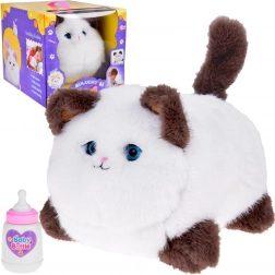 Interaktive Katze Puszek - miaut, schnurrt und bewegt die Augen