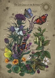 Puzzle Lebenszyklus eines Schmetterlings 1000 Teile