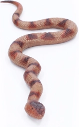 Weiche Gummischlange 60 cm