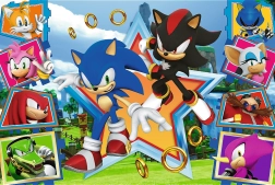 Puzzle 100 Teile - Treffen Sie Sonic